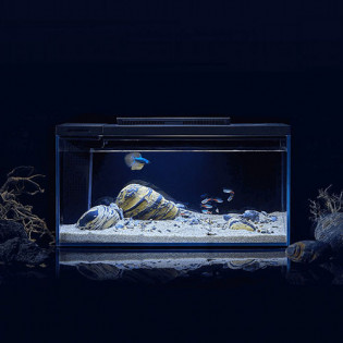 Petkit Smart Fish Tank